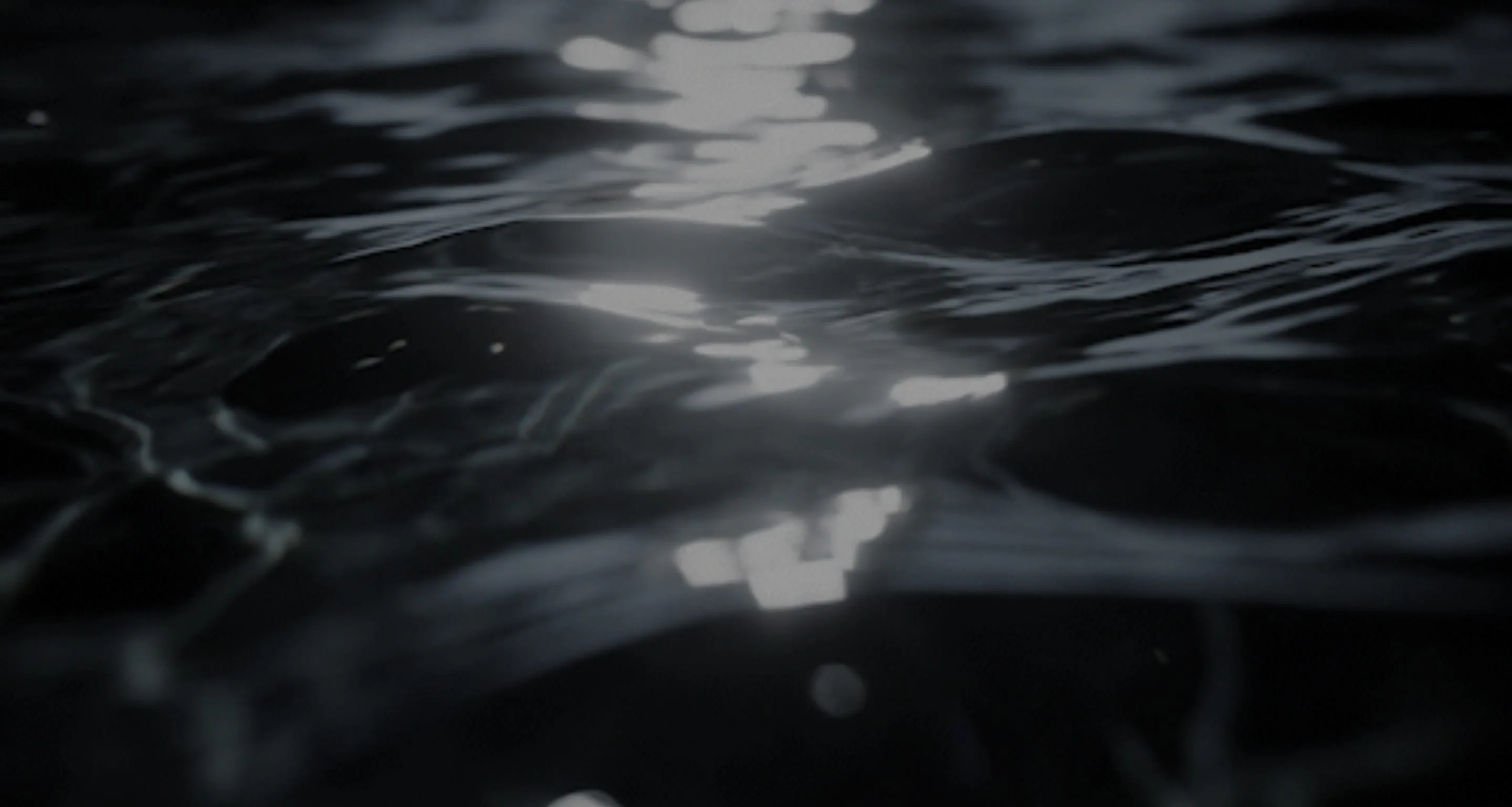 Image of CONTACT